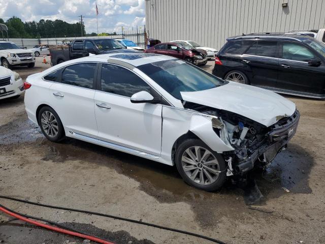 2016 HYUNDAI SONATA SPO - 5NPE34AF5GH394440