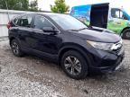 HONDA CR-V LX photo