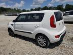 KIA SOUL + photo