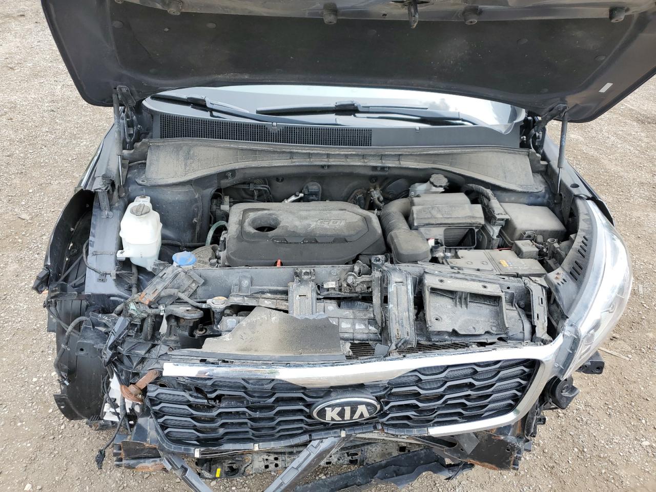 5XYPGDA36KG455961 2019 Kia Sorento L