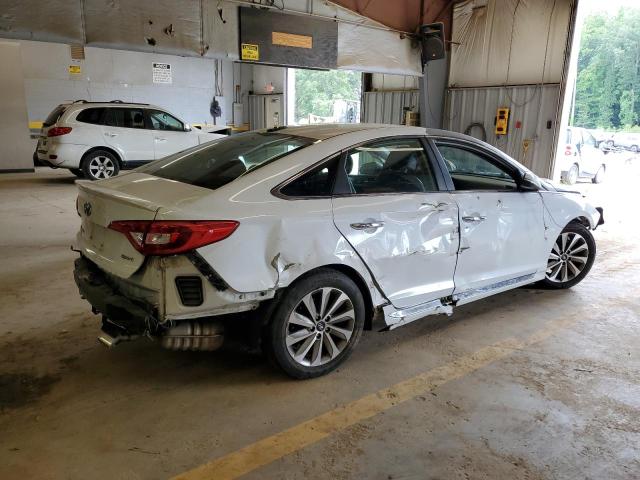 2016 HYUNDAI SONATA SPO - 5NPE34AF3GH421845