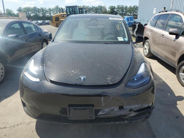 2024 TESLA MODEL Y - 7SAYGDEF5RF022452