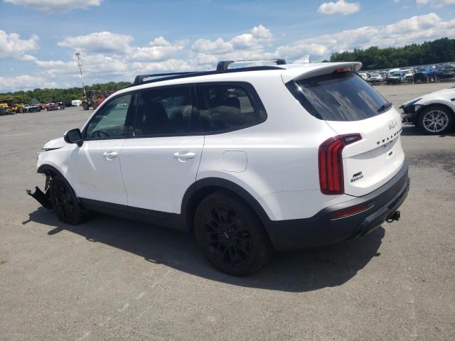 2022 Kia Telluride Ex VIN: 5XYP3DHC7NG232916 Lot: 61544204