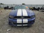 Lot #3024979131 2013 FORD MUSTANG