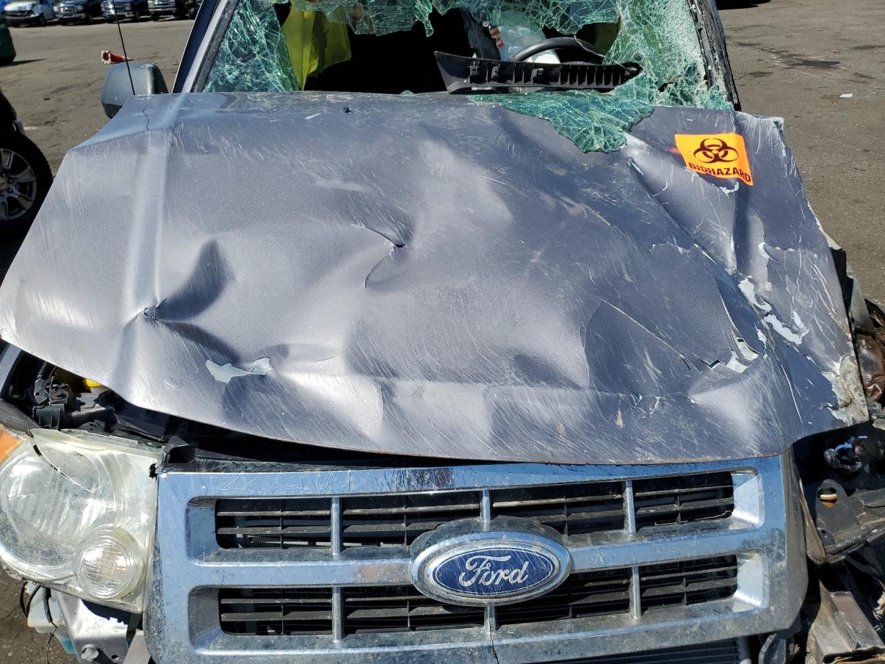 Lot #2713149602 2008 FORD ESCAPE XLT