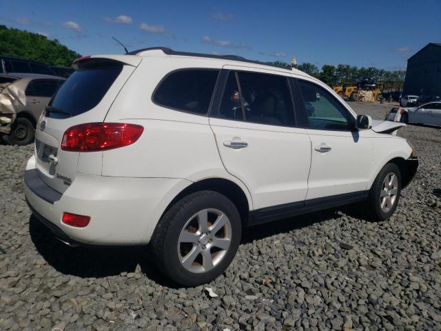 2007 Hyundai Santa Fe Se VIN: 5NMSH13E57H039868 Lot: 60751724