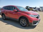 HONDA CR-V EX photo