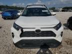 TOYOTA RAV4 XLE P photo