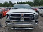 DODGE RAM 1500 photo