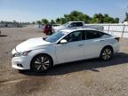 2019 NISSAN ALTIMA SV - 1N4BL4DW7KN319736