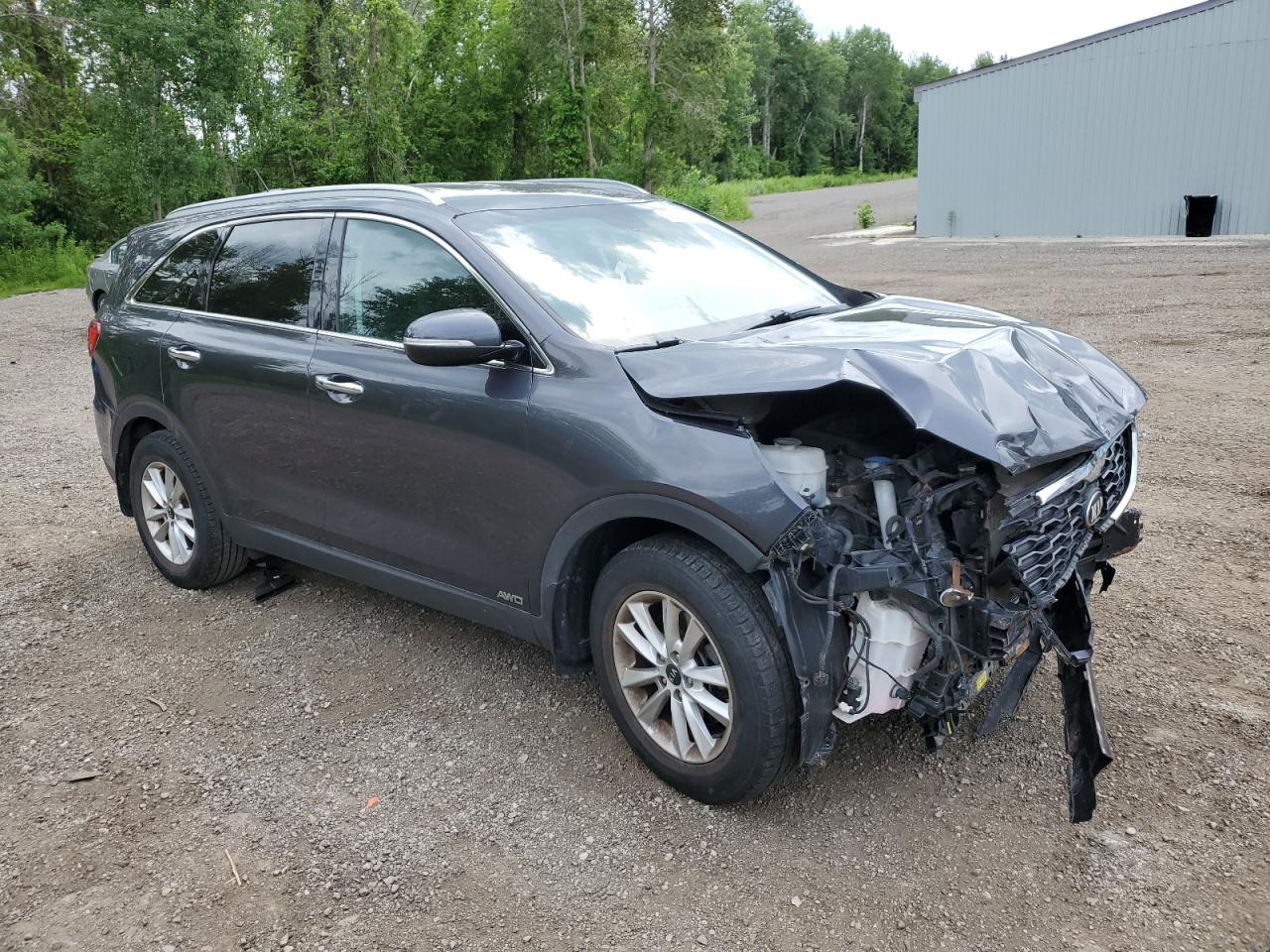 5XYPGDA36KG455961 2019 Kia Sorento L 5XYPGDA36KG455961 2019 Kia Sorento L