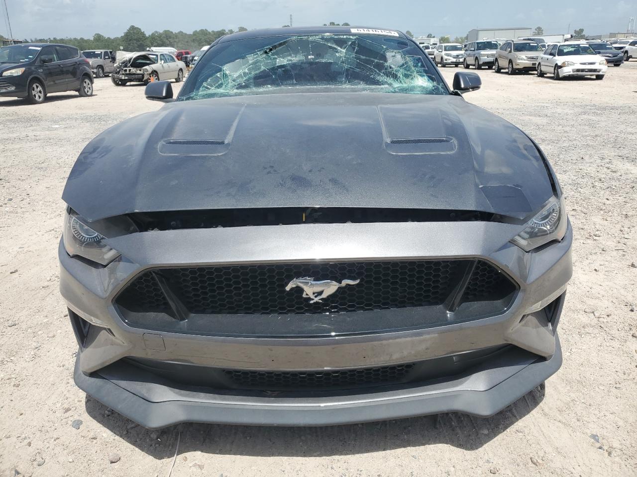 2019 Ford Mustang Gt vin: 1FA6P8CF7K5130244