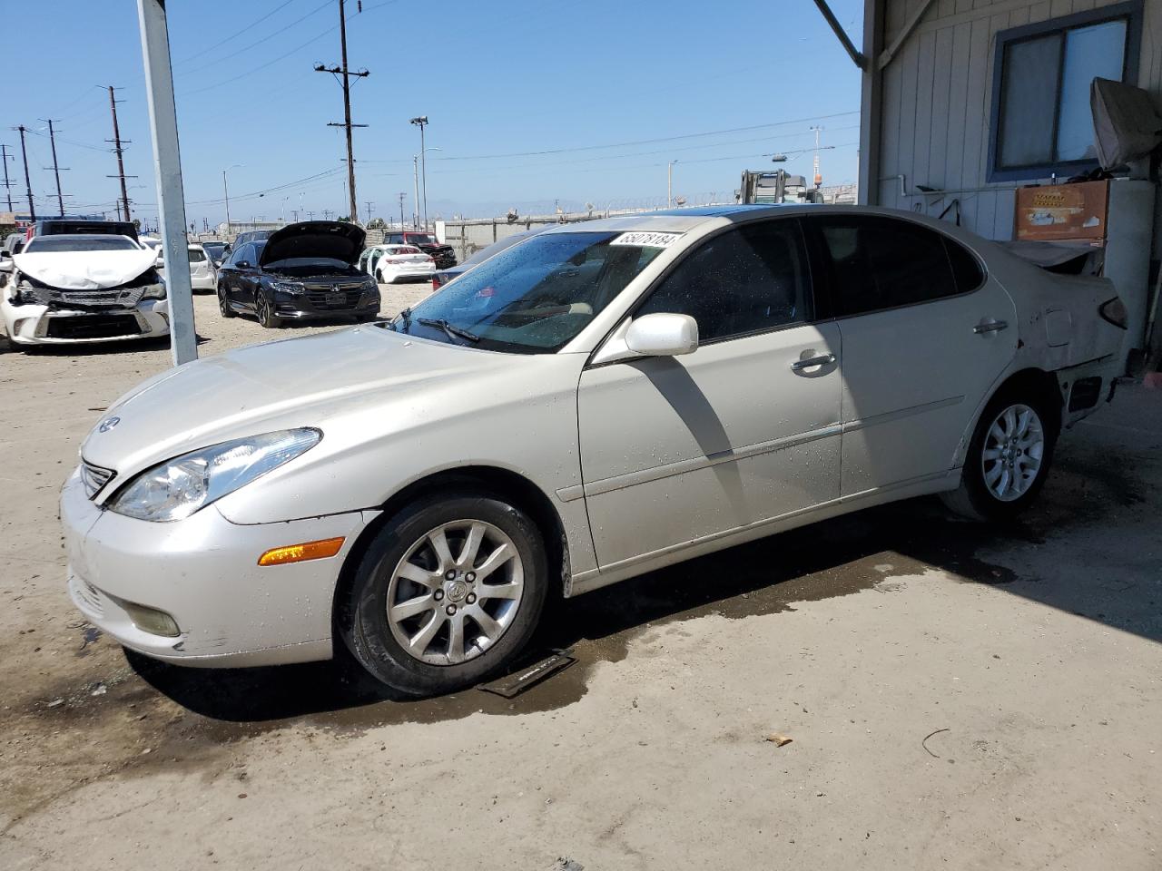 Lot #2976916591 2003 LEXUS ES 300