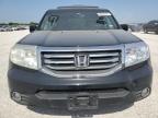 HONDA PILOT EXL photo