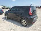 KIA SOUL photo