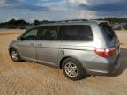 HONDA ODYSSEY EX photo