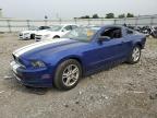 Lot #3024979131 2013 FORD MUSTANG