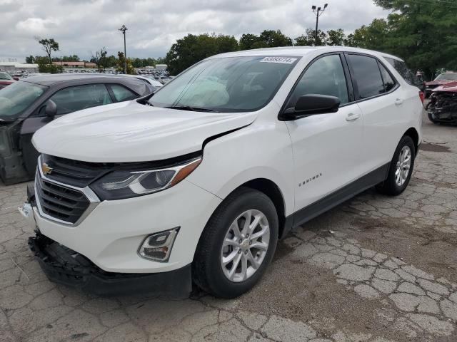 2019 CHEVROLET EQUINOX LS - 3GNAXHEV9KL282588
