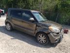 KIA SOUL + photo