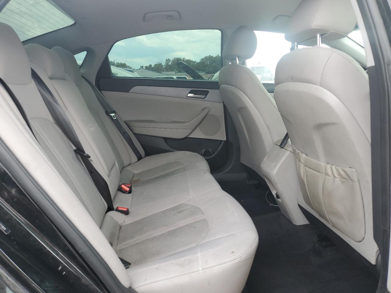 5NPE24AF4KH773019 2019 Hyundai Sonata Se