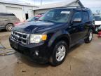 2010 Ford Escape Xlt VIN: 1FMCU0D77AKB01501 Lot: 65383334