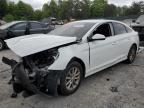 2019 HYUNDAI SONATA SE - 5NPE24AF8KH775307