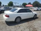 Lot #3023928277 2004 TOYOTA AVALON XL