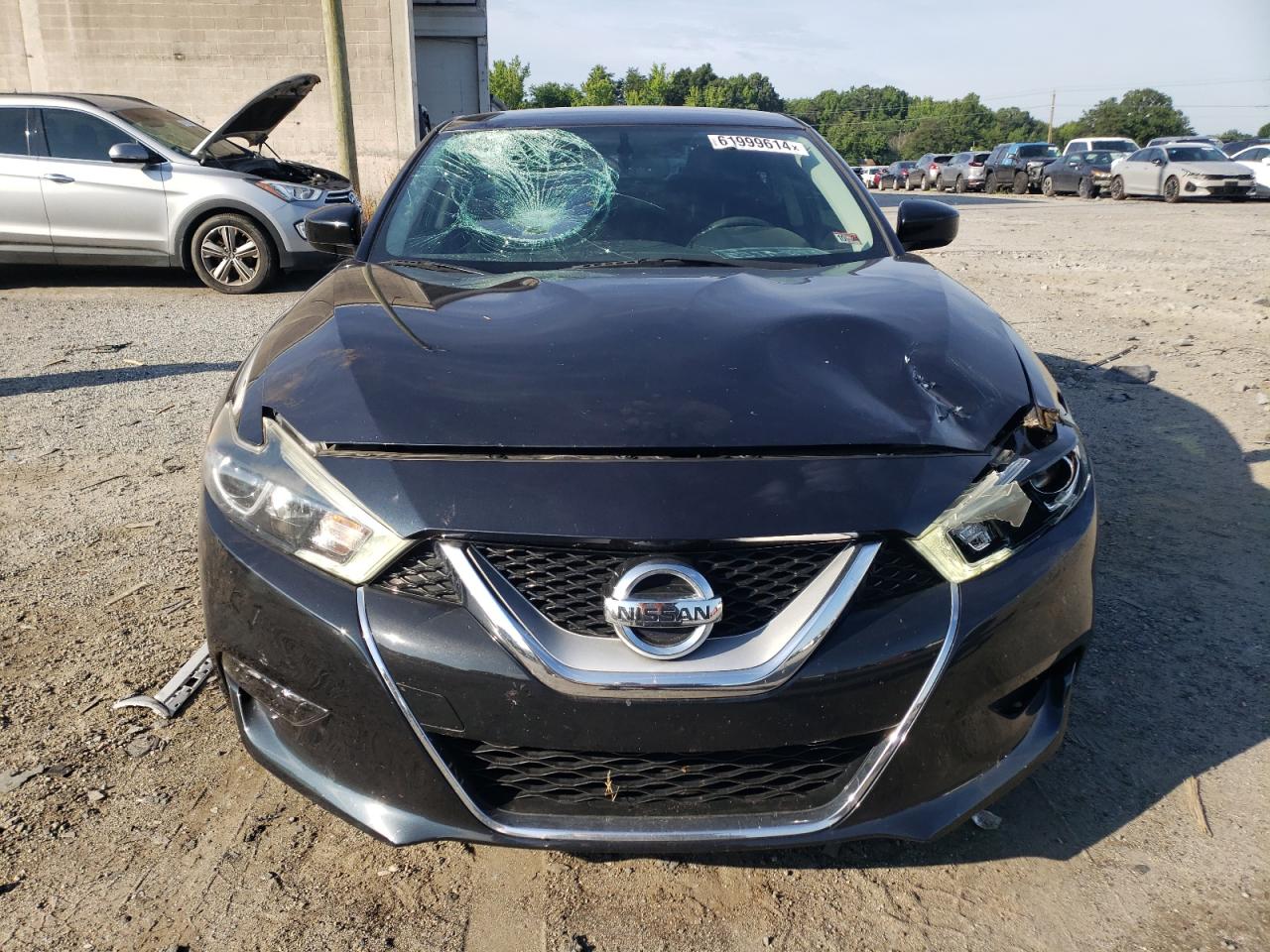 Global Auto Auctions