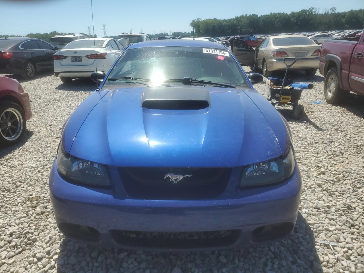 Lot #2806706108 2004 FORD MUSTANG GT