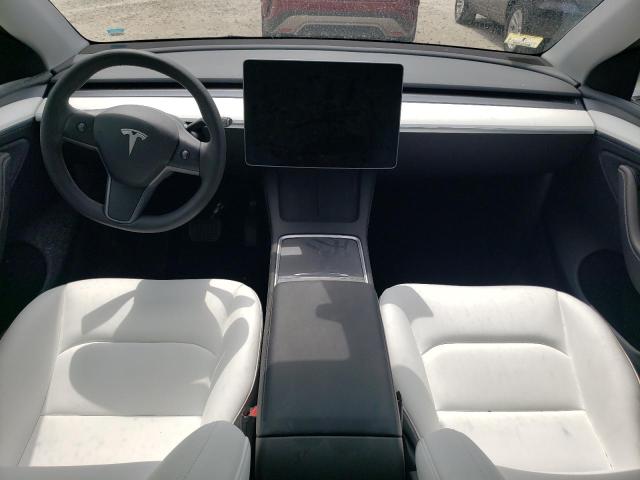 2023 Tesla Model Y VIN: 7SAYGDEEXPA205699 Lot: 62096464