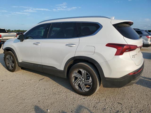2023 HYUNDAI SANTA FE S - 5NMS24AJ5PH607443