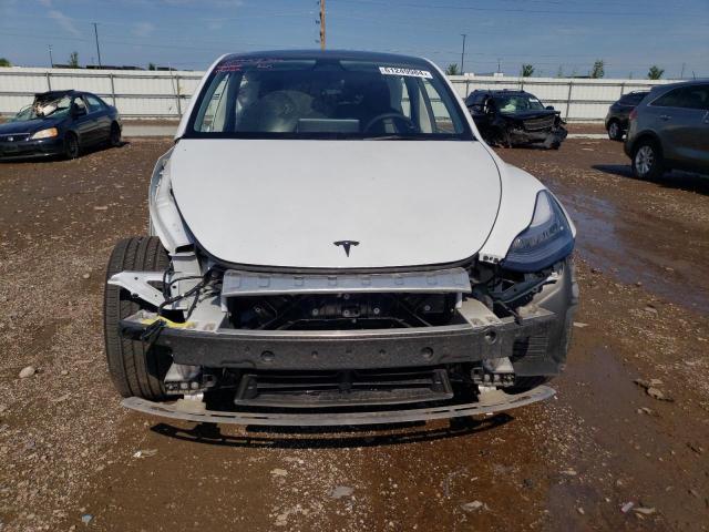 2023 TESLA MODEL Y - 7SAYGDEE4PA079484