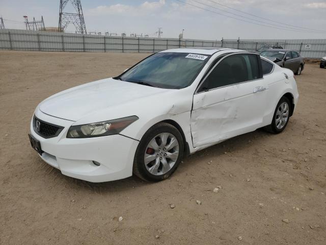 2009 HONDA ACCORD EXL 1HGCS22809A003527  63226124