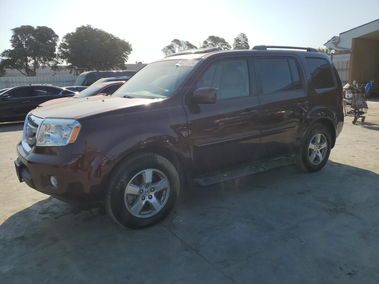 5FNYF486X9B038044 2009 Honda Pilot Exl