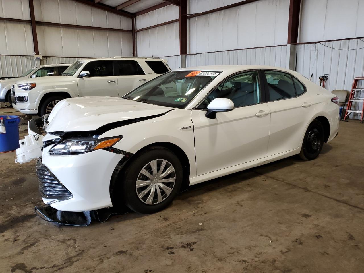 2019 Toyota Camry Le vin: 4T1B31HK5KU515756