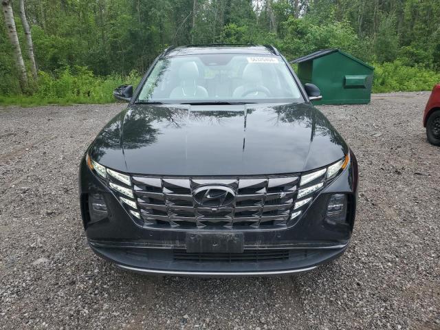 2023 HYUNDAI TUCSON LUX - KM8JCCA10PU117404