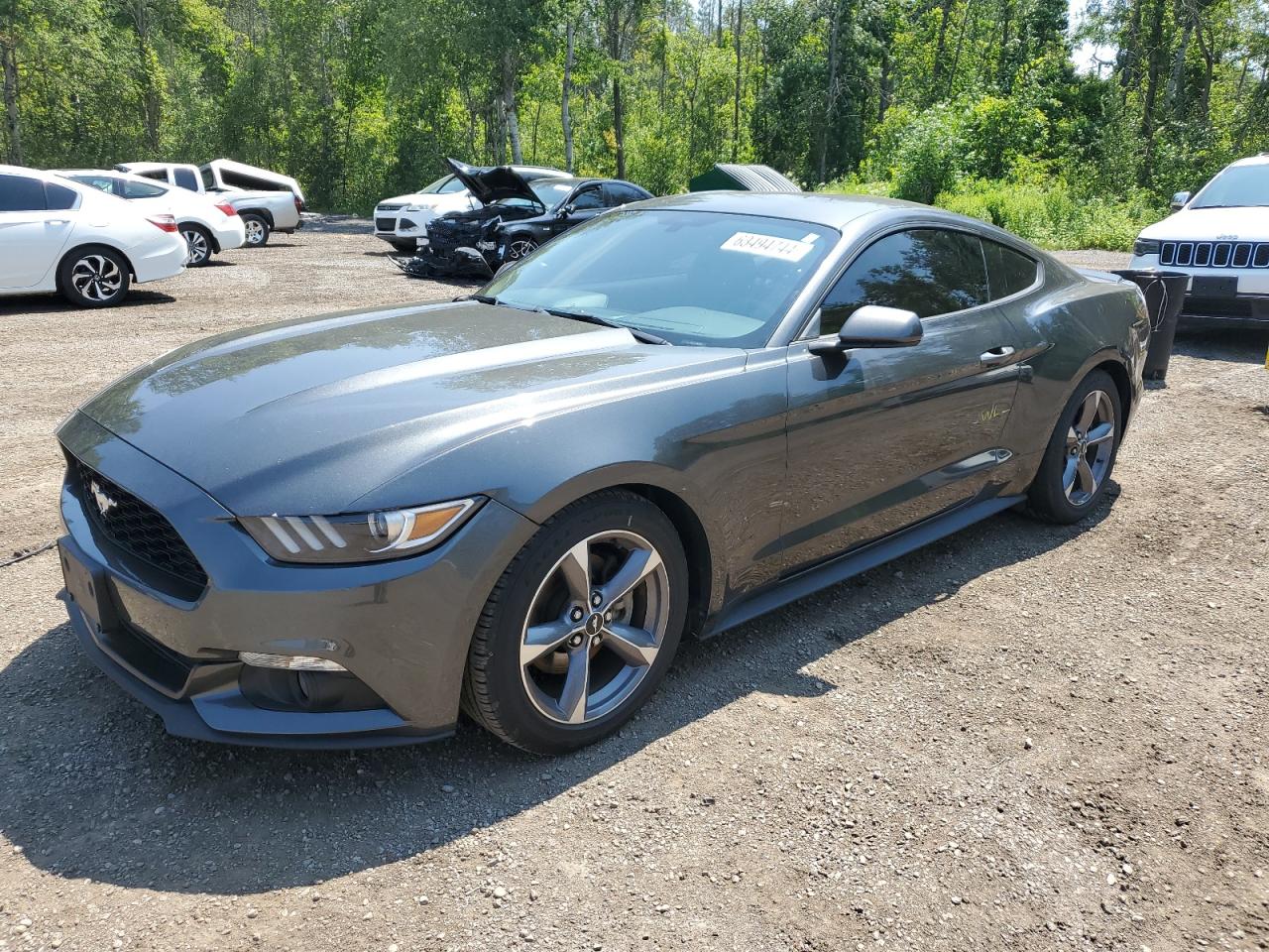 1FA6P8AM9H5314711 FORD MUSTANG 2017