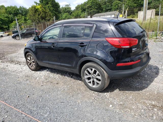 KNDPB3AC7G7811556 2016 KIA SPORTAGE - Image 2