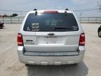 FORD ESCAPE XLT photo