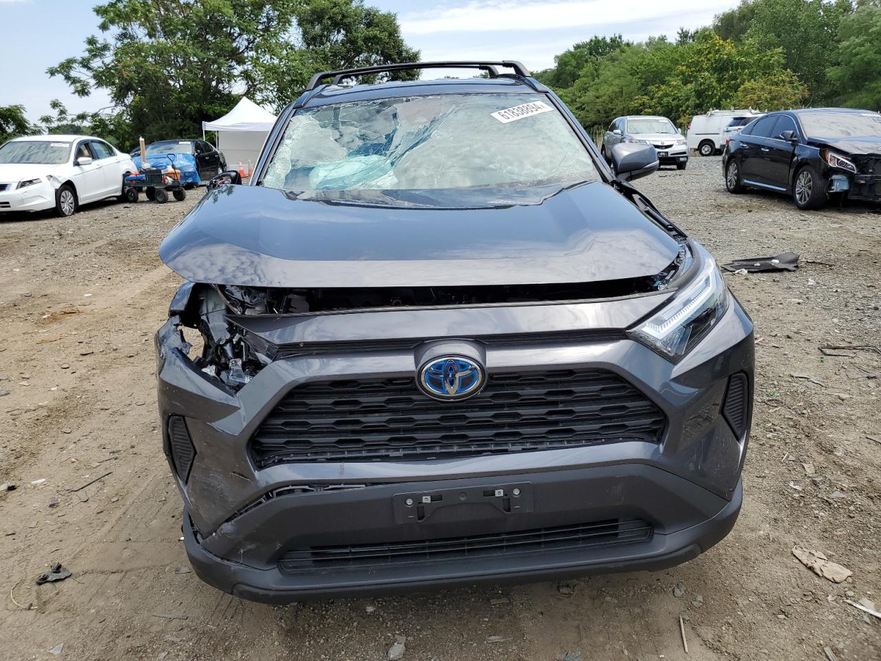 Lot #2986853877 2023 TOYOTA RAV4 XLE