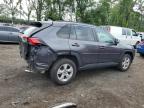 TOYOTA RAV4 XLE photo