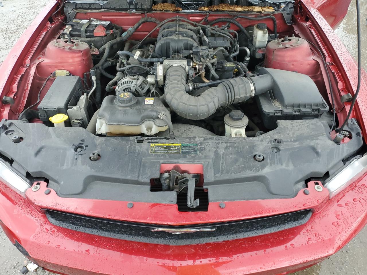 1ZVBP8AN9A5145049 2010 Ford Mustang