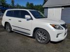 LEXUS LX 570 снимка