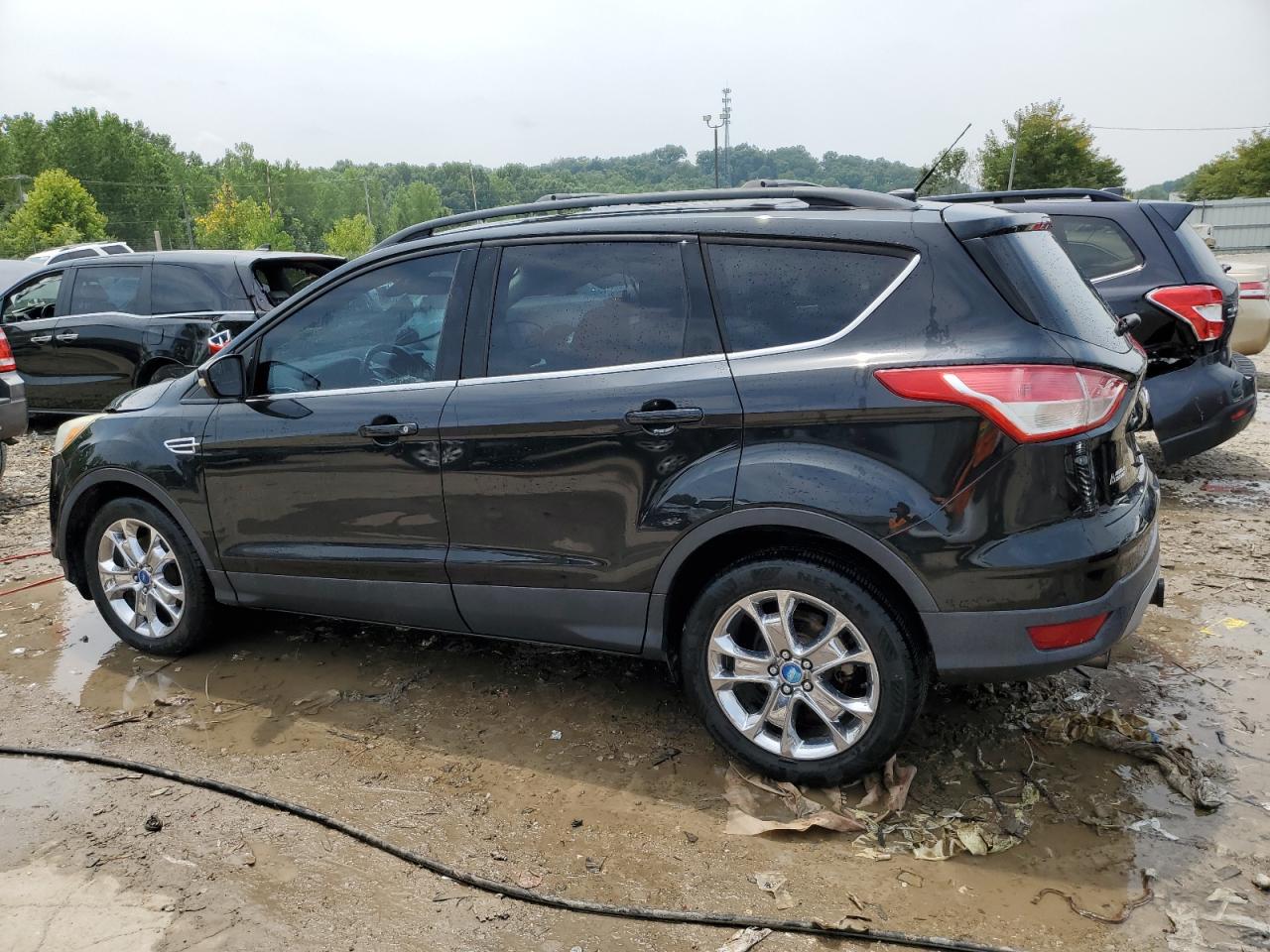 Lot #3028371782 2013 FORD ESCAPE