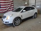 CADILLAC SRX PERFOR photo