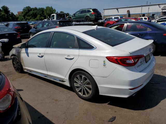 Vin: 5npe34af3gh335404, lot: 62552014, hyundai sonata sport 20162