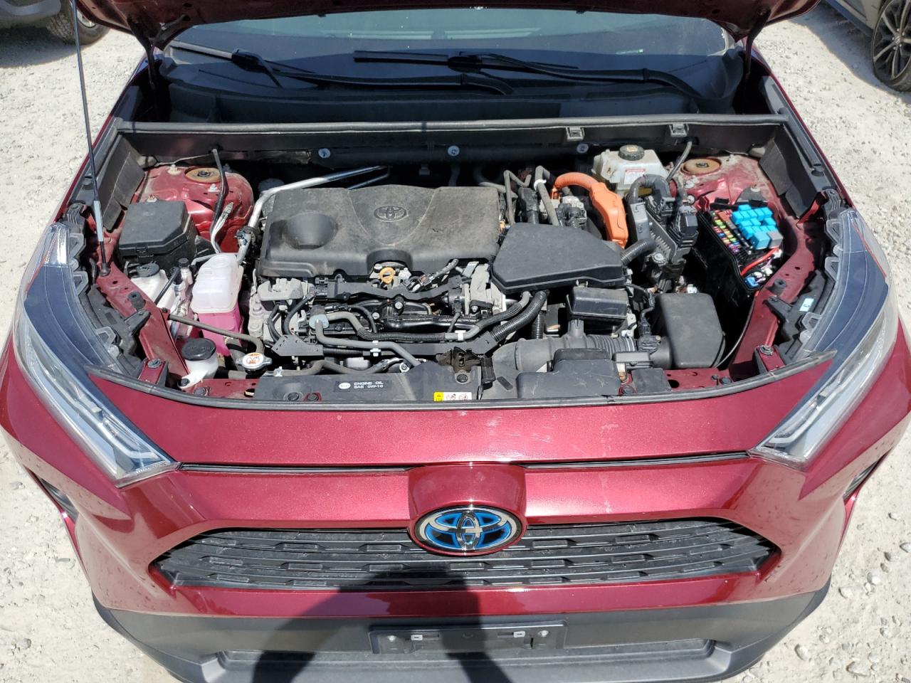 4T3RWRFV5MU029508 2021 Toyota Rav4 Xle