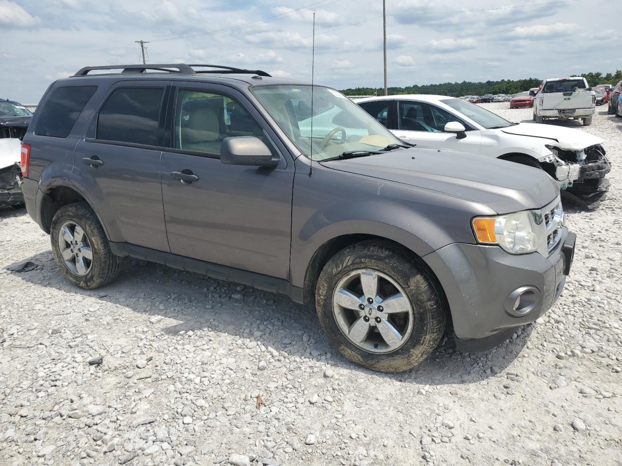 Lot #2789610190 2010 FORD ESCAPE XLT