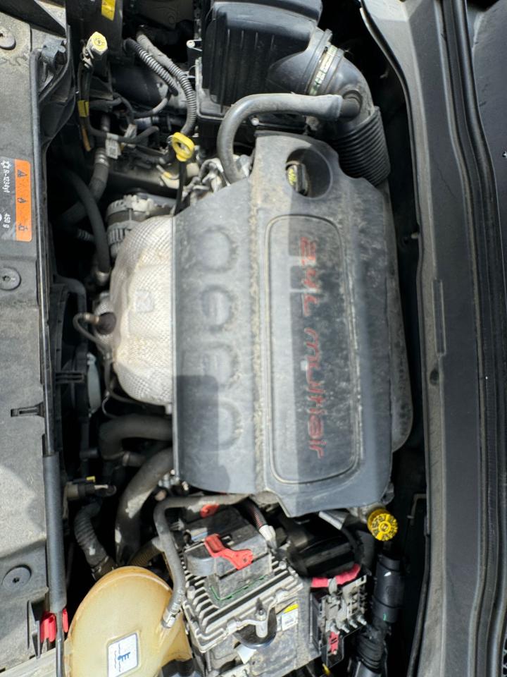 ZACCJBCT2GPD44591 2016 Jeep Renegade Trailhawk