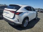 LEXUS NX 350H BA photo